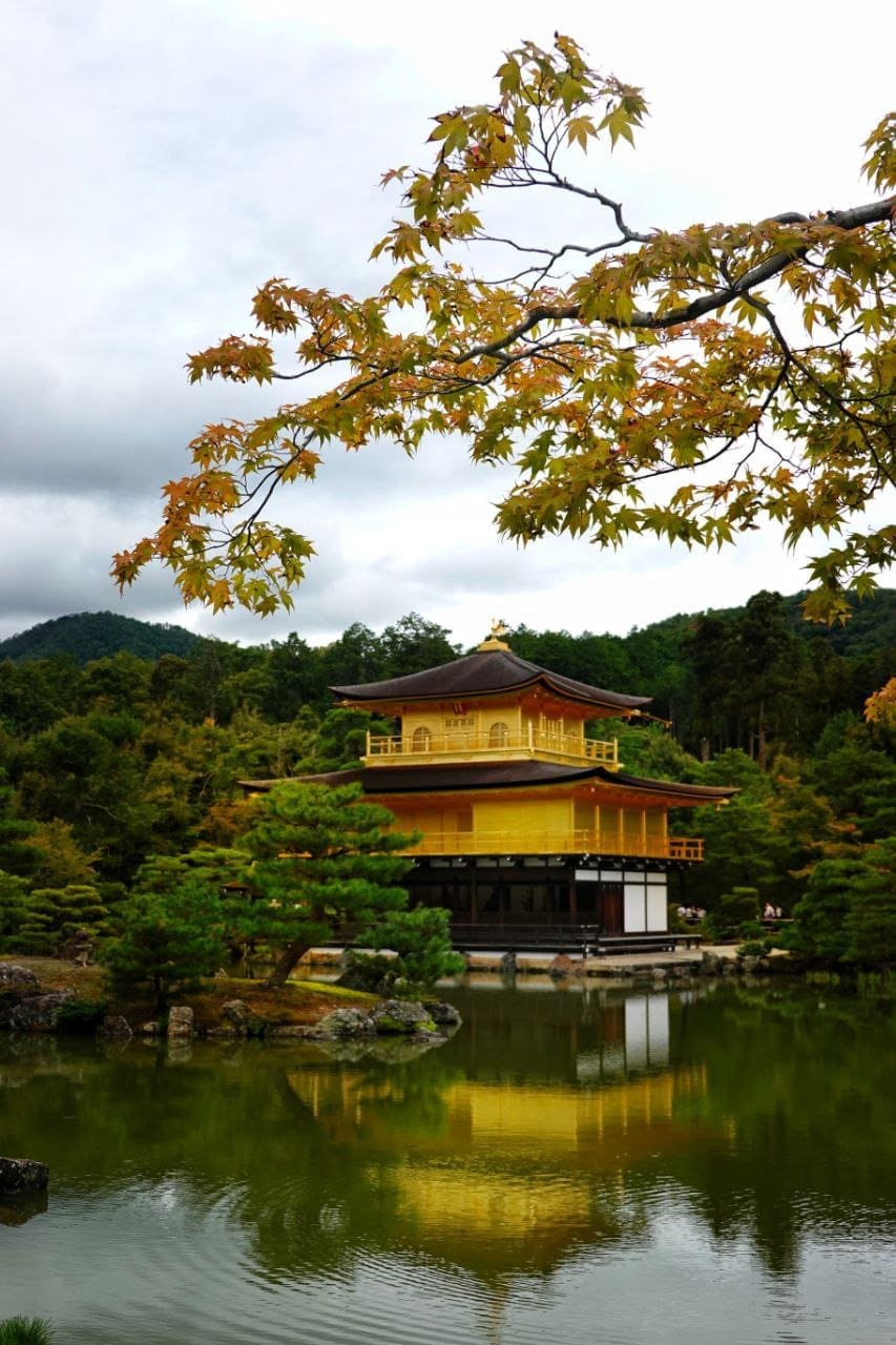 Actividades en Corea con bebé